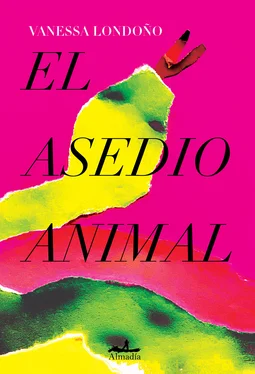 Vanessa Londoño El asedio animal обложка книги