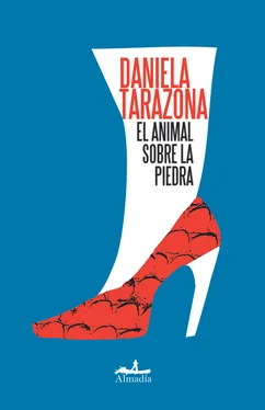 Daniela Tarazona El animal sobre la piedra обложка книги