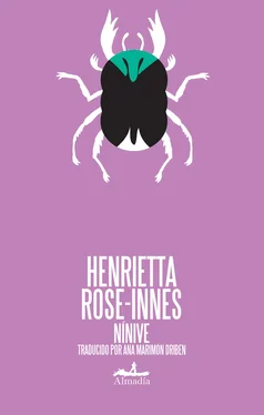 Henrietta Rose-Innes Nínive обложка книги