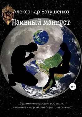 Александр Евтушенко Наивный мангуст обложка книги