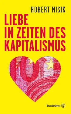 Robert Misik Liebe in Zeiten des Kapitalismus обложка книги