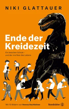 Niki Glattauer Ende der Kreidezeit обложка книги