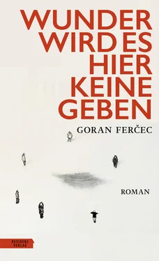 Goran Fercec Wunder wird es hier keine geben обложка книги