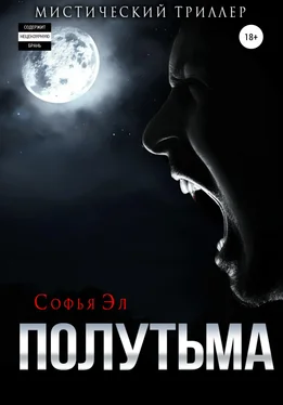 Софья Эл Полутьма обложка книги