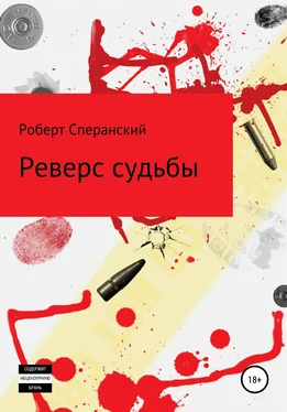 Роберт Сперанский Реверс судьбы обложка книги