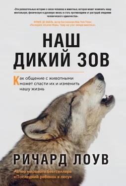 Ричард Лоув Наш дикий зов. Как общение с животными может спасти их и изменить нашу жизнь обложка книги