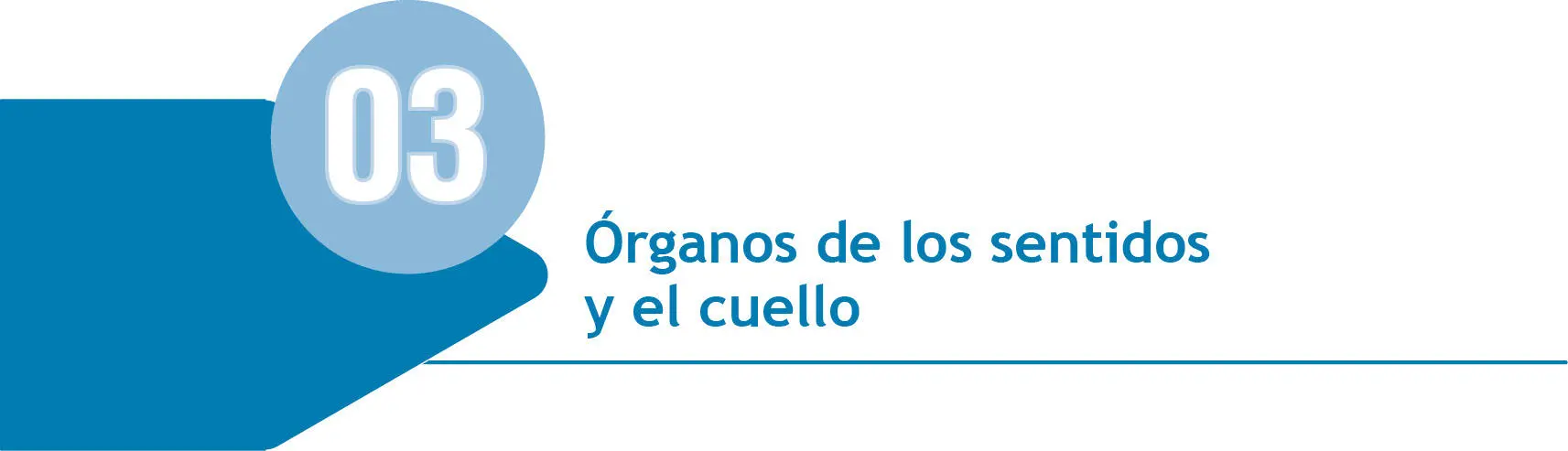 Capítulo 3 Órganos de los sentidos y el cuello En este capítulo vamos a - фото 52