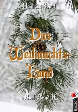 Seidel Heinrich Das Weihnachtsland обложка книги