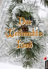 Seidel Heinrich - Das Weihnachtsland