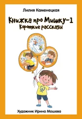 Лилия Каменецкая - Книжка про Мишку – 1. Короткие рассказы