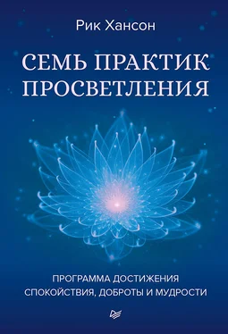 Рик Хансон Семь практик просветления. Программа достижения спокойствия, доброты и мудрости