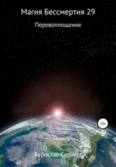 Бурислав Сервест - Магия Бессмертия 29. Перевоплощение