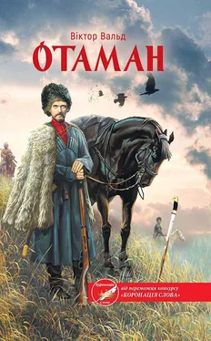 Віктор Вальд Отаман обложка книги