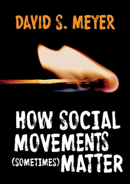 David S. Meyer How Social Movements (Sometimes) Matter обложка книги