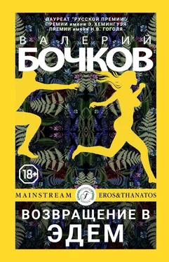 Валерий Бочков Возвращение в Эдем обложка книги