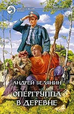 Андрей Белянин Опергруппа в деревне обложка книги