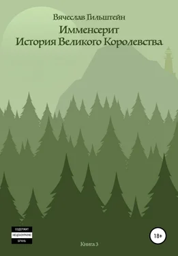 Вячеслав Гильштейн Имменсерит. История великого Королевства обложка книги