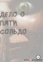 Олег Волков - Дело о пяти сольдо
