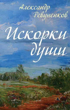 Александр Ревуненков Искорки души обложка книги