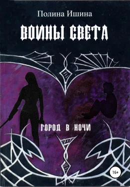 Полина Ишина Воины света обложка книги