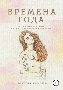 Виктория Журавлева Времена года обложка книги