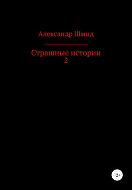 Александр Шмид Страшные истории 2 обложка книги