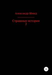 Александр Шмид - Страшные истории 2