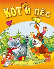 Игорь Гусев - Кот и пёс