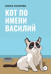 Алиса Сахарова - Кот по имени Василий
