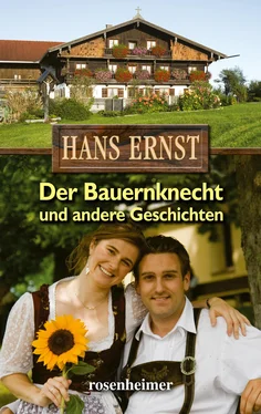 Hans Ernst Der Bauernknecht und andere Geschichten обложка книги
