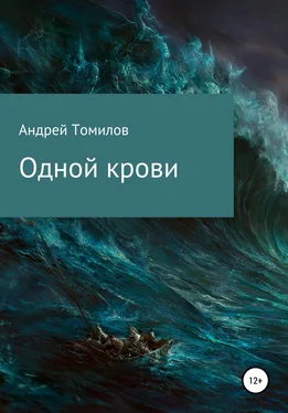 Андрей Томилов Одной крови обложка книги