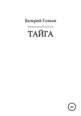 Валерий Голков Тайга обложка книги