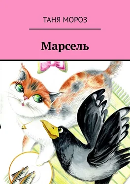 Таня Мороз Марсель. Правдивые сказочные истории обложка книги