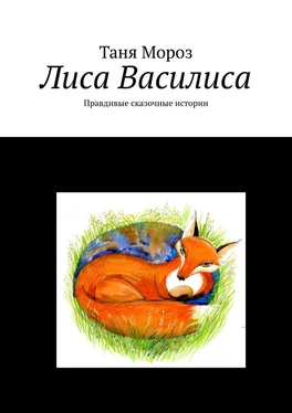 Таня Мороз Лиса Василиса. Правдивые сказочные истории обложка книги