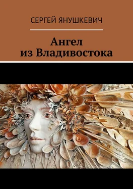 Сергей Янушкевич Ангел из Владивостока обложка книги