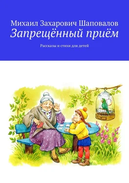 Михаил Шаповалов Запрещённый приём. Рассказы и стихи для детей обложка книги