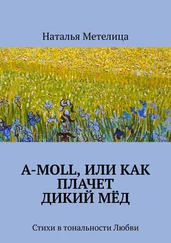 Наталья Метелица - А-moll, или Как плачет дикий мёд. Стихи в тональности Любви