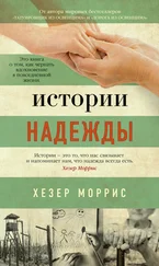 Хезер Моррис - Истории надежды. Как черпать вдохновение в повседневной жизни