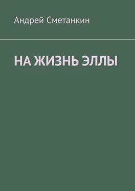 Андрей Сметанкин На жизнь Эллы обложка книги