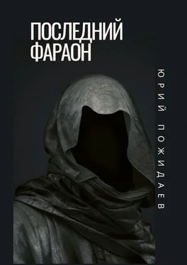 Юрий Пожидаев Последний фараон обложка книги