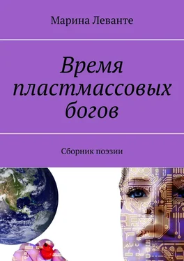 Марина Леванте Время пластмассовых богов. Сборник поэзии обложка книги