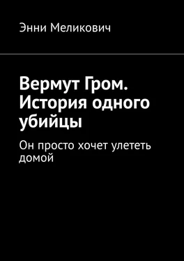 Энни Меликович Вермут Гром. История одного убийцы. Он просто хочет улететь домой обложка книги