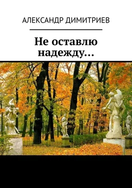 Александр Димитриев Не оставлю надежду… Избранное обложка книги