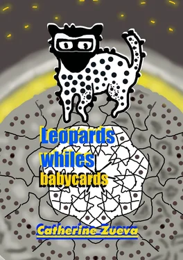 Catherine Zueva Leopards whiles. Babycards обложка книги
