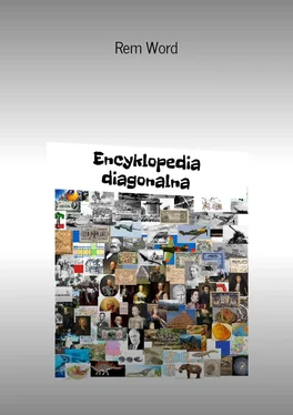 Rem Wоrd Encyklopedia diagonalna обложка книги