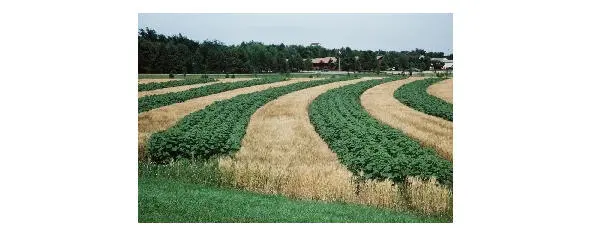 Steam farming system The earth needs rest The mechanisms of the loss of - фото 6