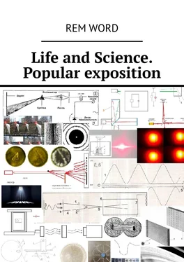 Rem Wоrd Life and Science. Popular exposition обложка книги