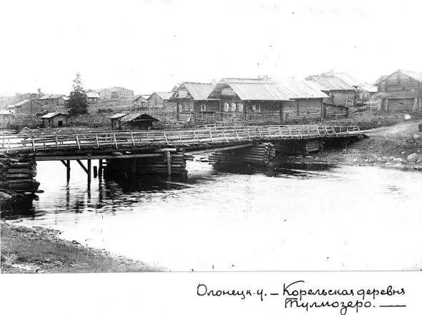 Олонецкий уезд Карельская деревня Тулмозеро Автор Михаил Круковский 1899 г - фото 38