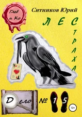 Юрий Ситников - Лес страха