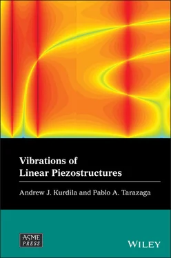 Andrew J. Kurdila Vibrations of Linear Piezostructures обложка книги